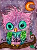 The Littlest Owl